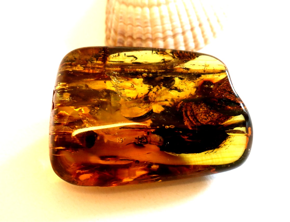 Natural Amber Gemstone – Unique Collector’s Gem