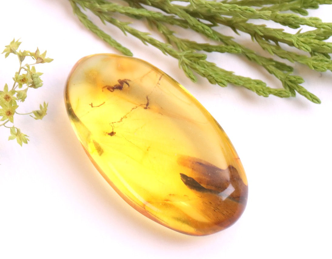 Baltic Amber with Spider Inclusion
