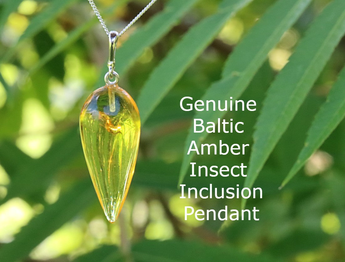 Genuine Baltic Amber Pendant with Insect