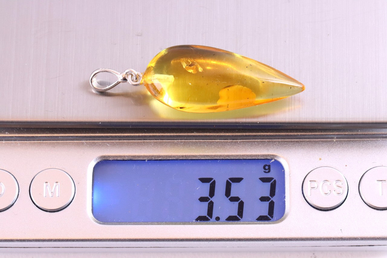 Genuine Baltic Amber Pendant with Insect