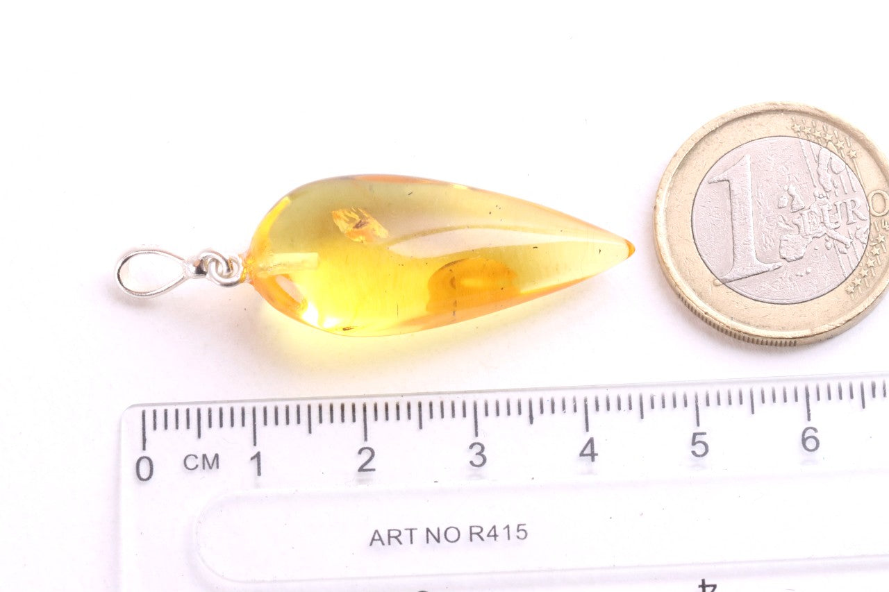 Genuine Baltic Amber Pendant with Insect