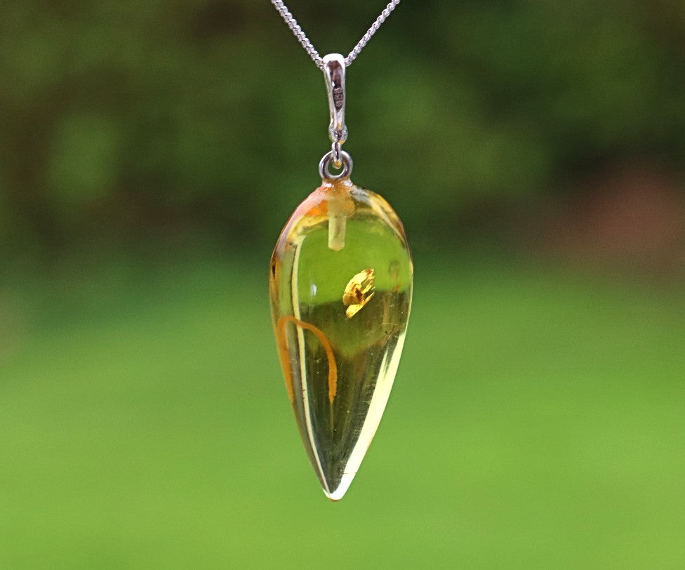 Genuine Baltic Amber Pendant with Insect