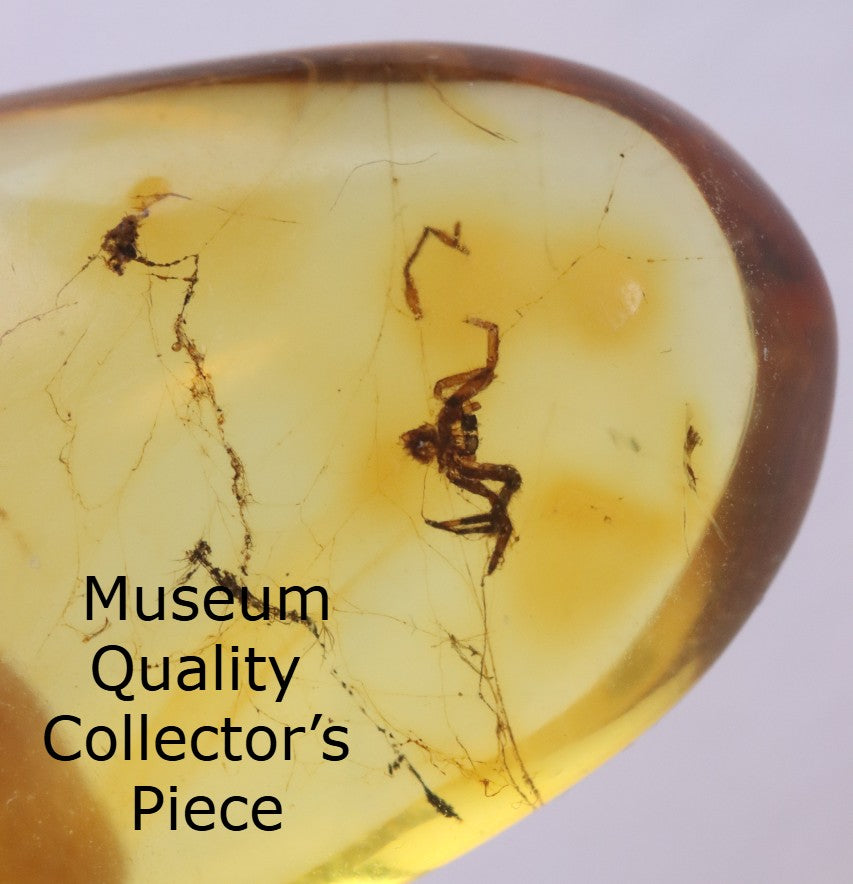 Baltic Amber with Spider Inclusion