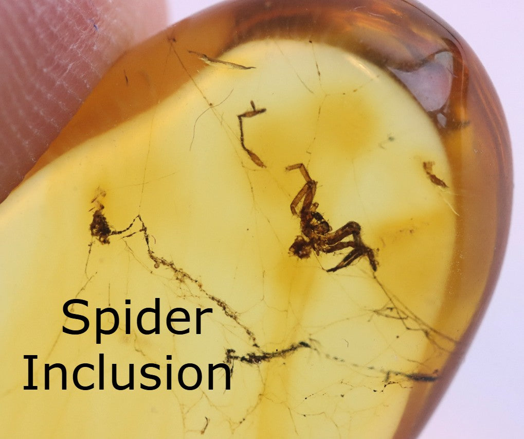 Baltic Amber with Spider Inclusion