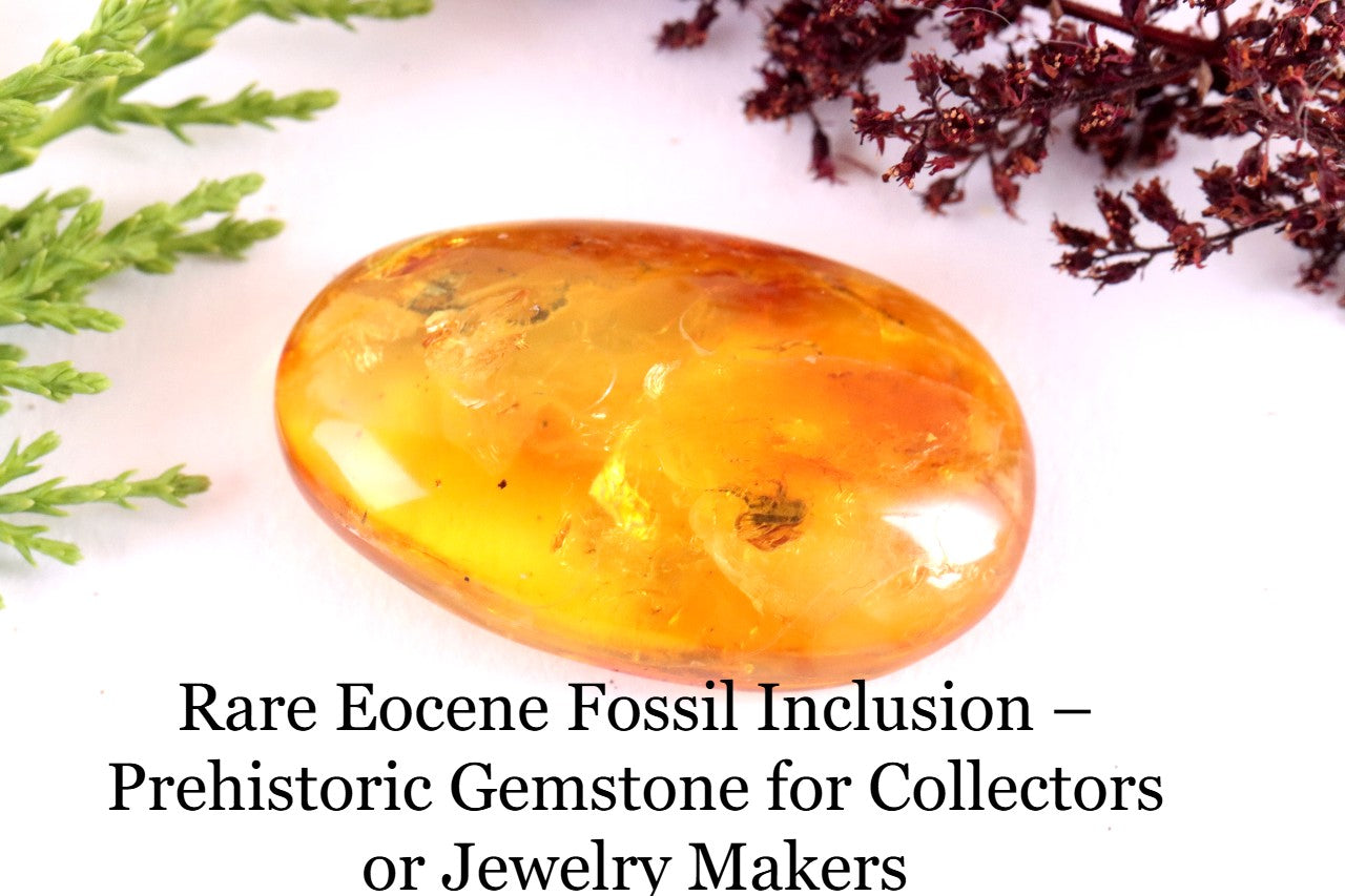 Prehistoric Gemstone for Jewelry Makers