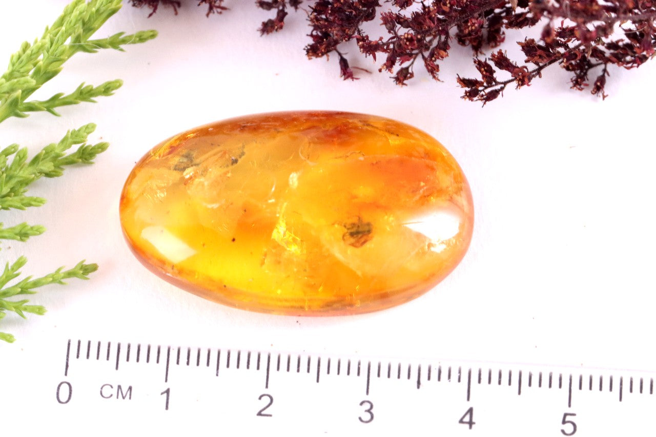 Prehistoric Gemstone for Jewelry Makers