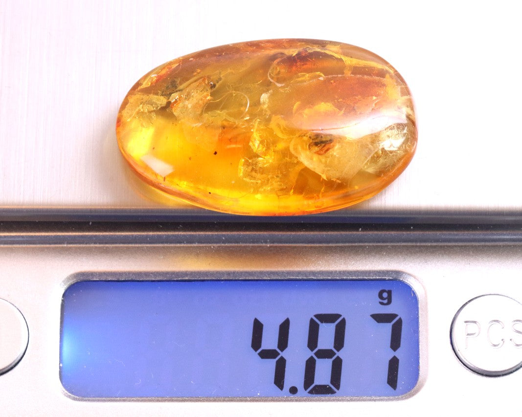 Prehistoric Gemstone for Jewelry Makers