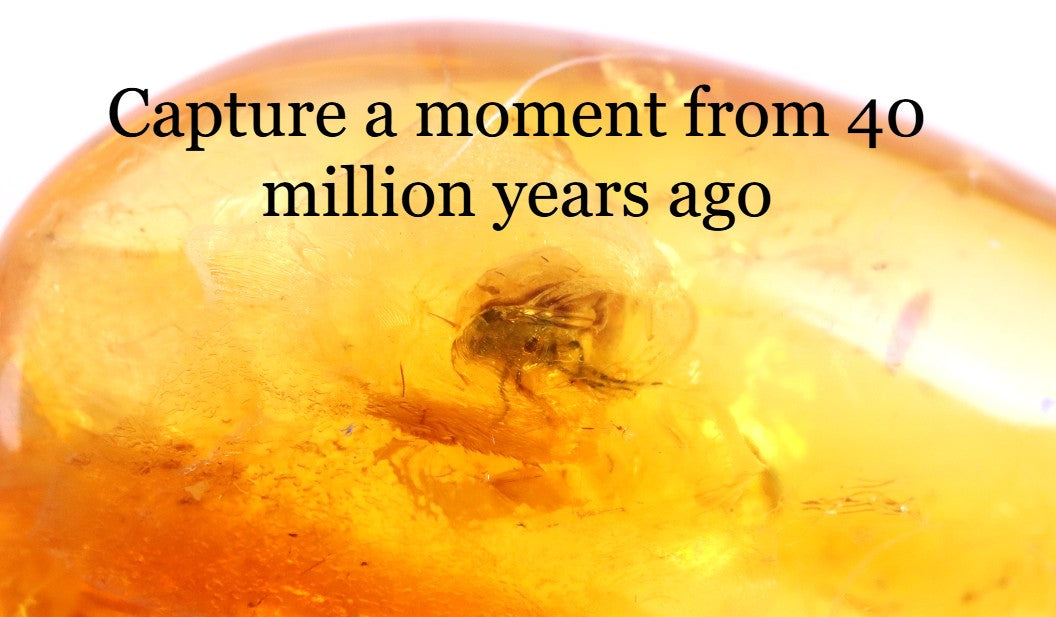 Prehistoric Gemstone for Jewelry Makers