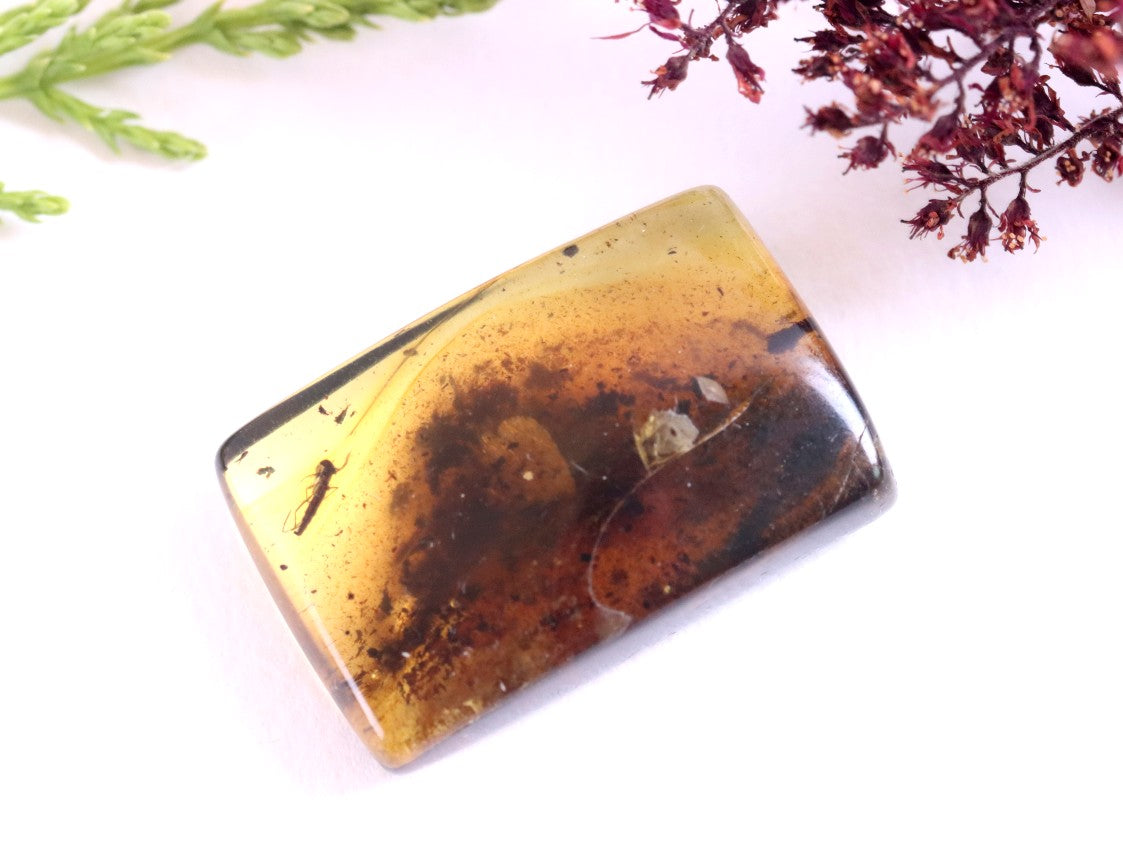 Insect in Baltic Amber – Rare Eocene Fossil Gemstone