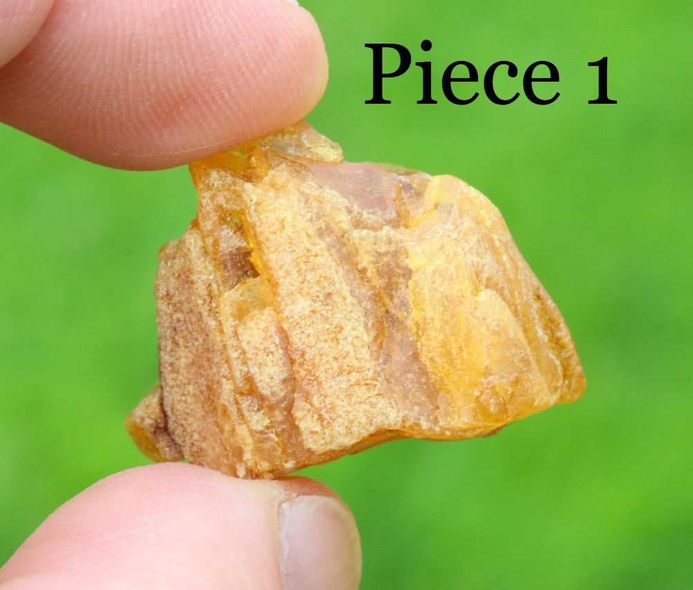 Wholesale Lot – 5 Raw Baltic Amber Gems