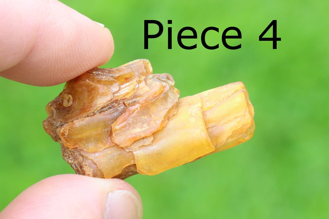 Wholesale Lot – 5 Raw Baltic Amber Gems