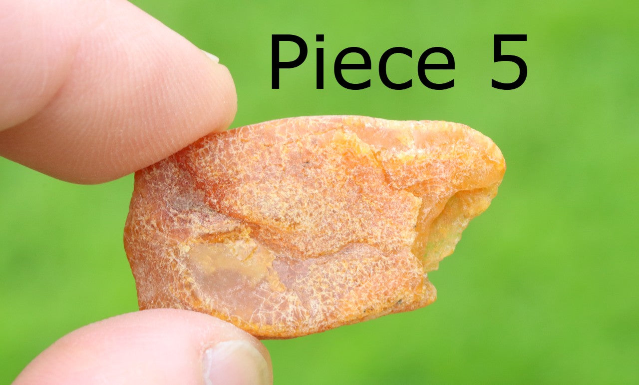 Wholesale Lot – 5 Raw Baltic Amber Gems