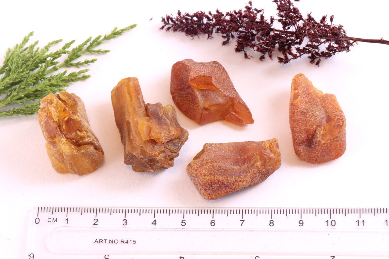 Wholesale Lot – 5 Raw Baltic Amber Gems