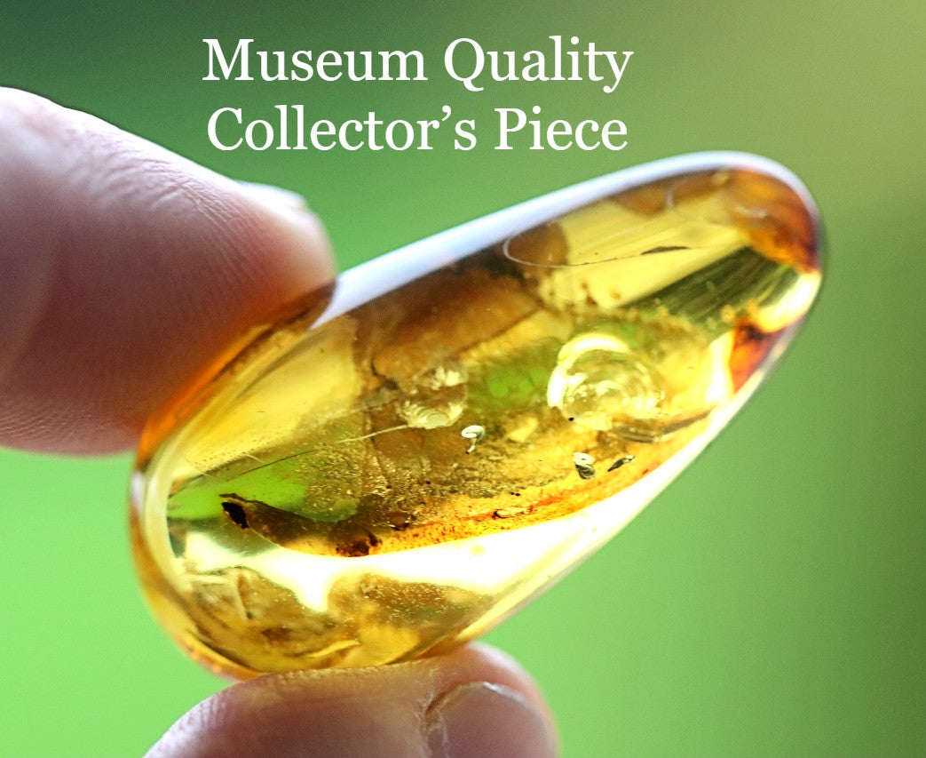 Unique Baltic Amber with Spider Inclusion