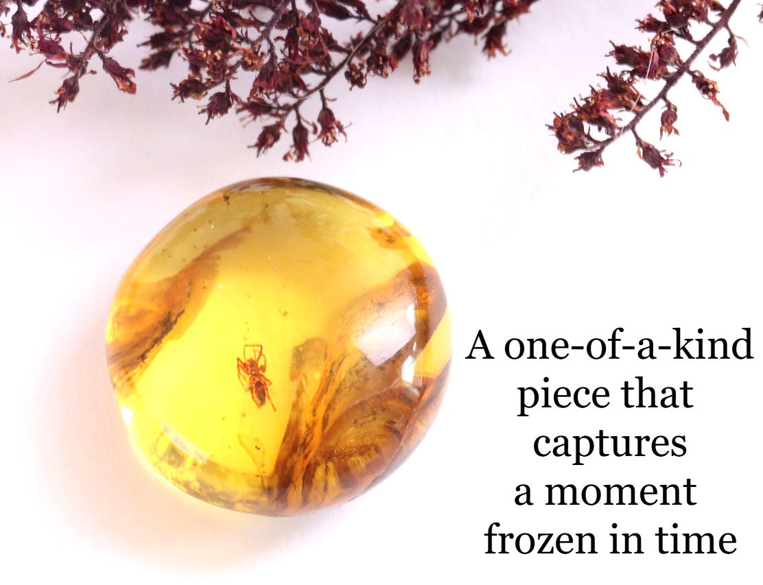 Spider Inclusion in 40 Million-Year-Old Baltic Amber