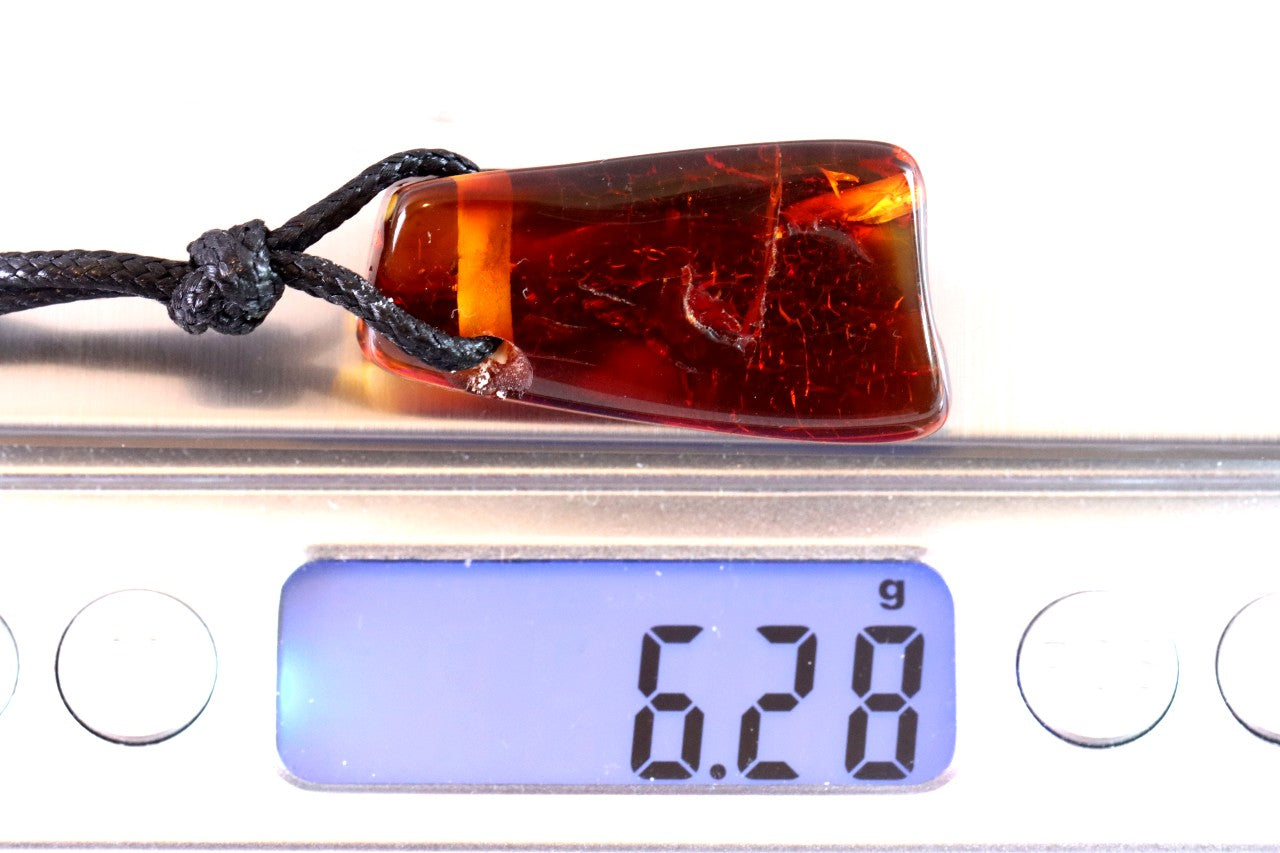 Amulet Necklace Natural Baltic Amber Amulet Pendant /