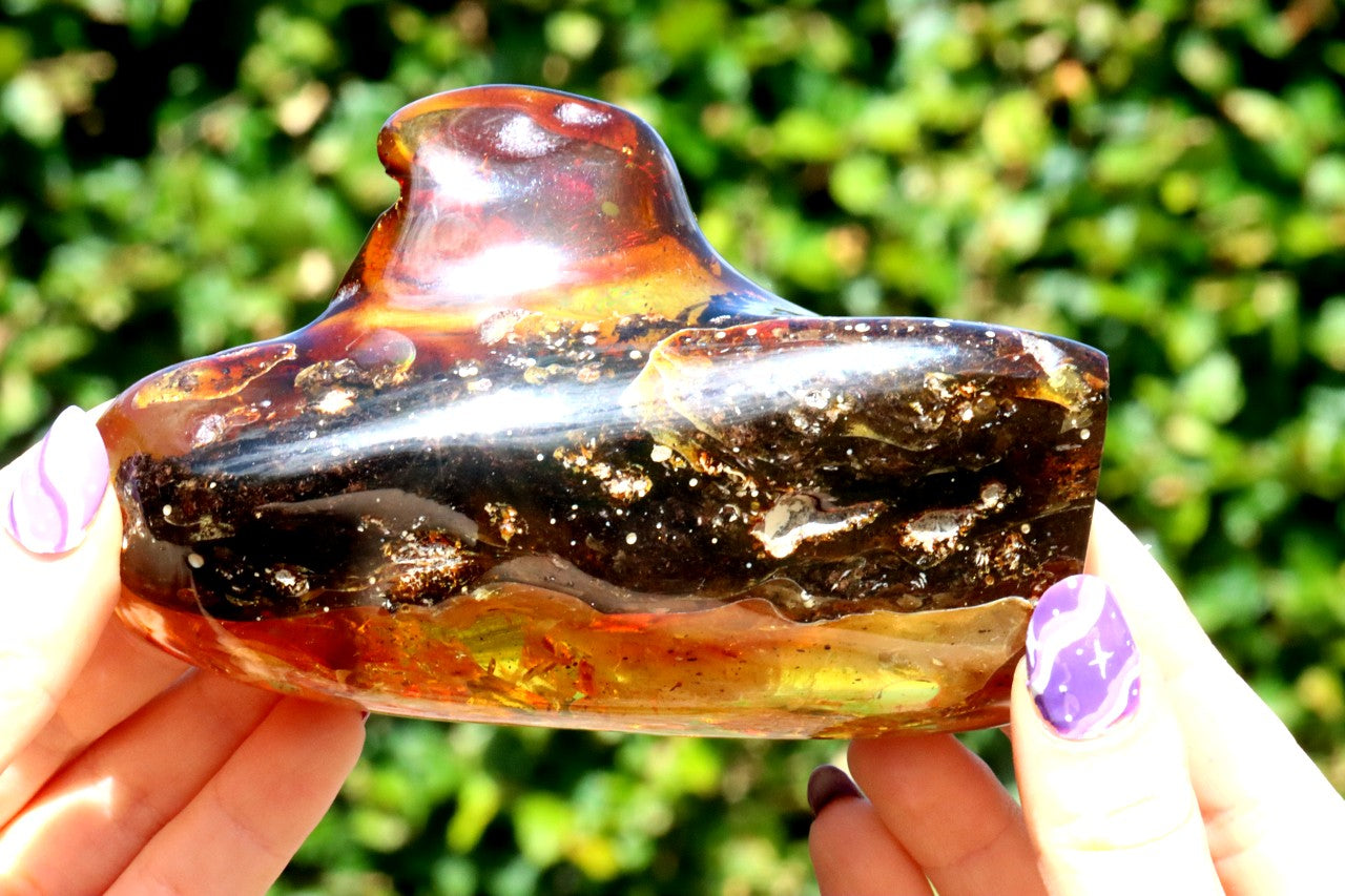 Unbelievable Large 127g Baltic Amber Collector's Gem