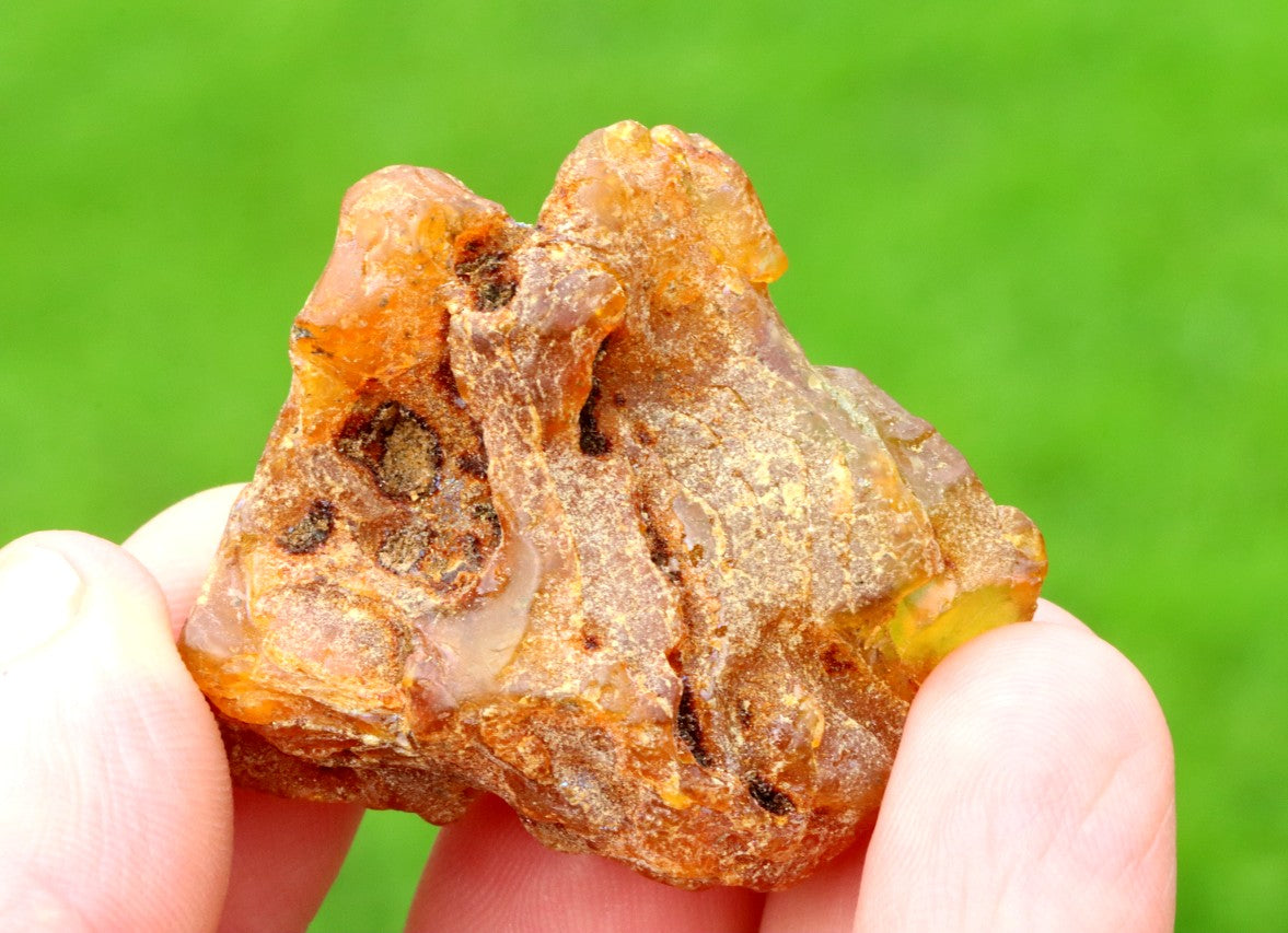 Natural Raw Baltic Amber Gemstone