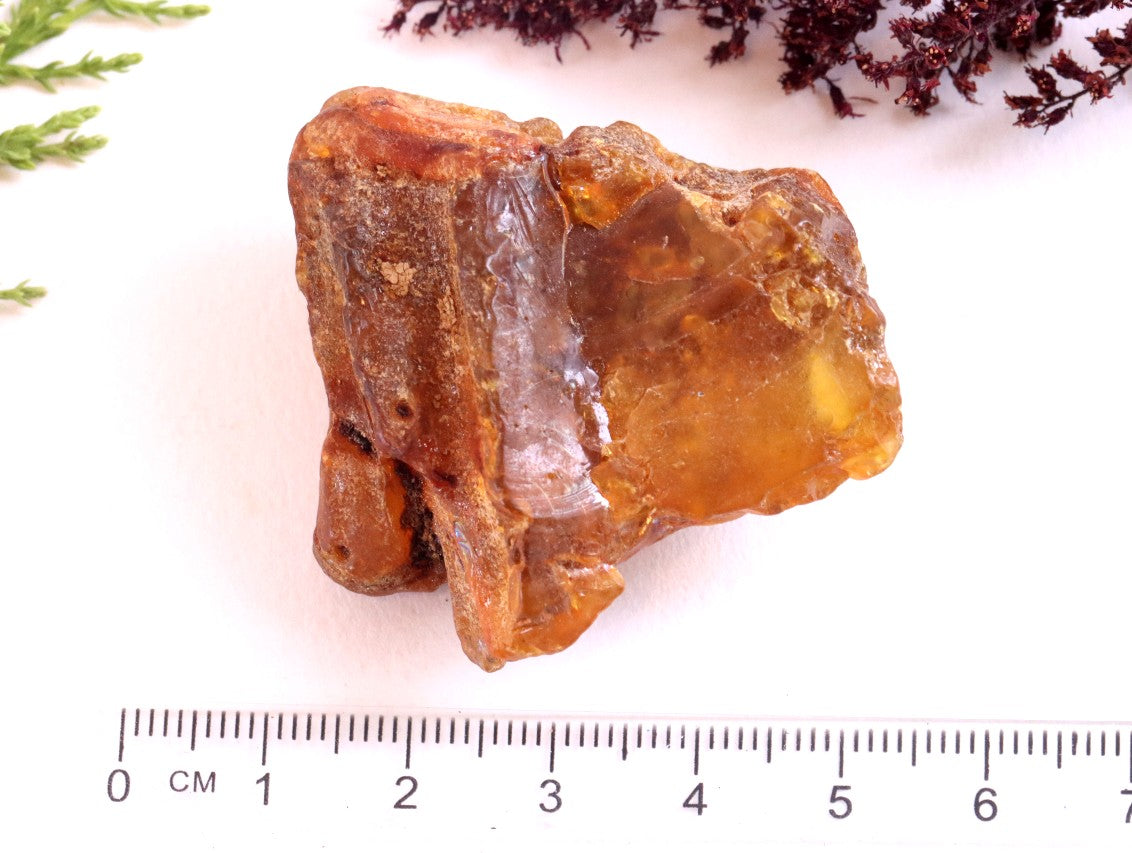 Natural Raw Baltic Amber Gemstone