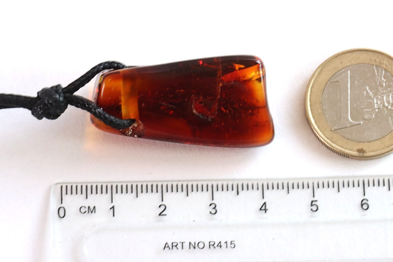 Amulet Necklace Natural Baltic Amber Amulet Pendant /