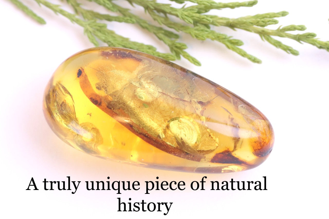 Unique Baltic Amber with Spider Inclusion