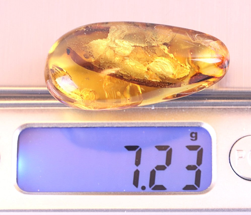 Unique Baltic Amber with Spider Inclusion