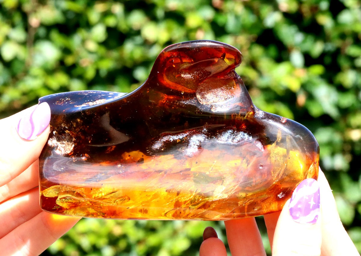 Unbelievable Large 127g Baltic Amber Collector's Gem
