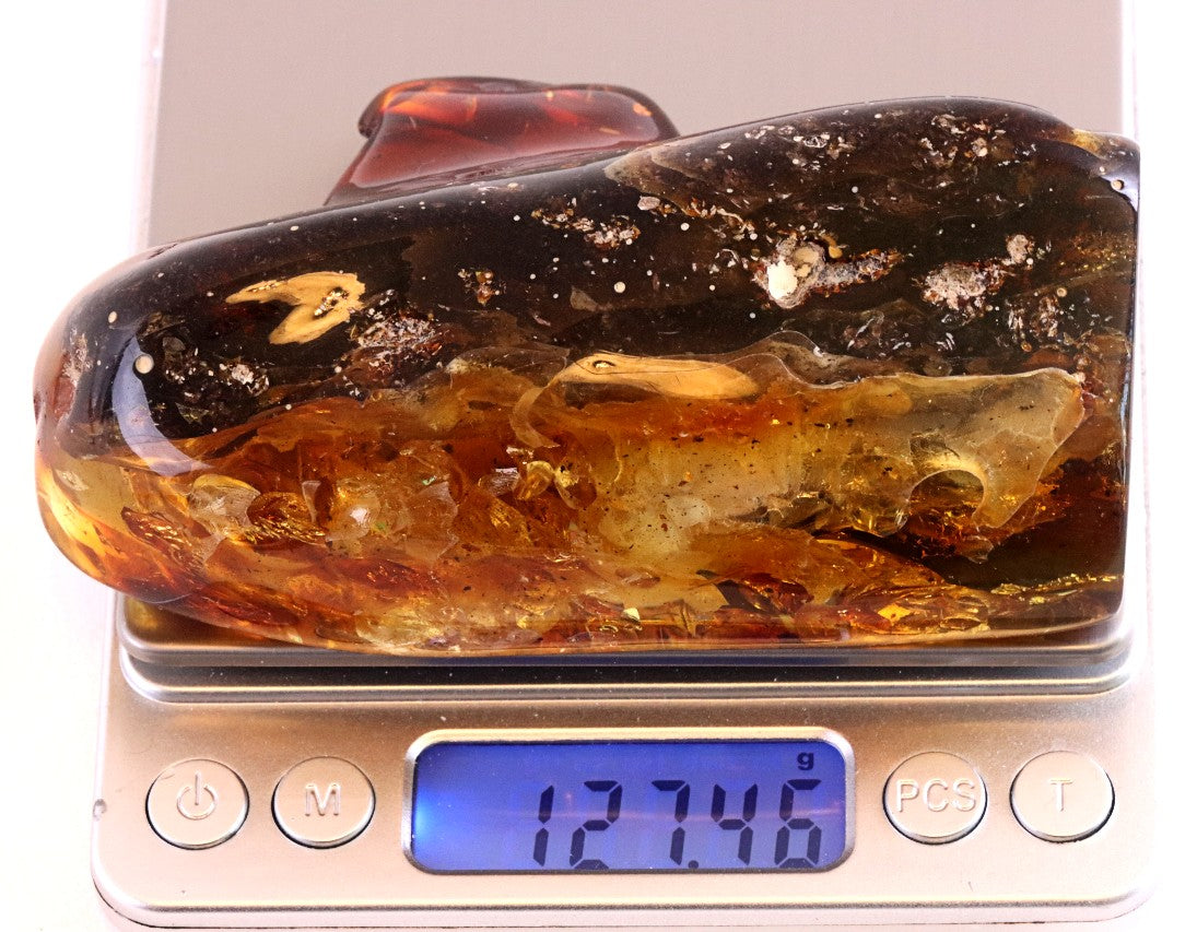 Unbelievable Large 127g Baltic Amber Collector's Gem