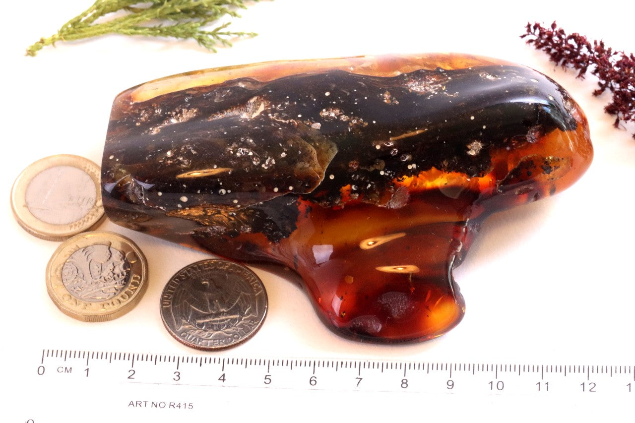 Unbelievable Large 127g Baltic Amber Collector's Gem