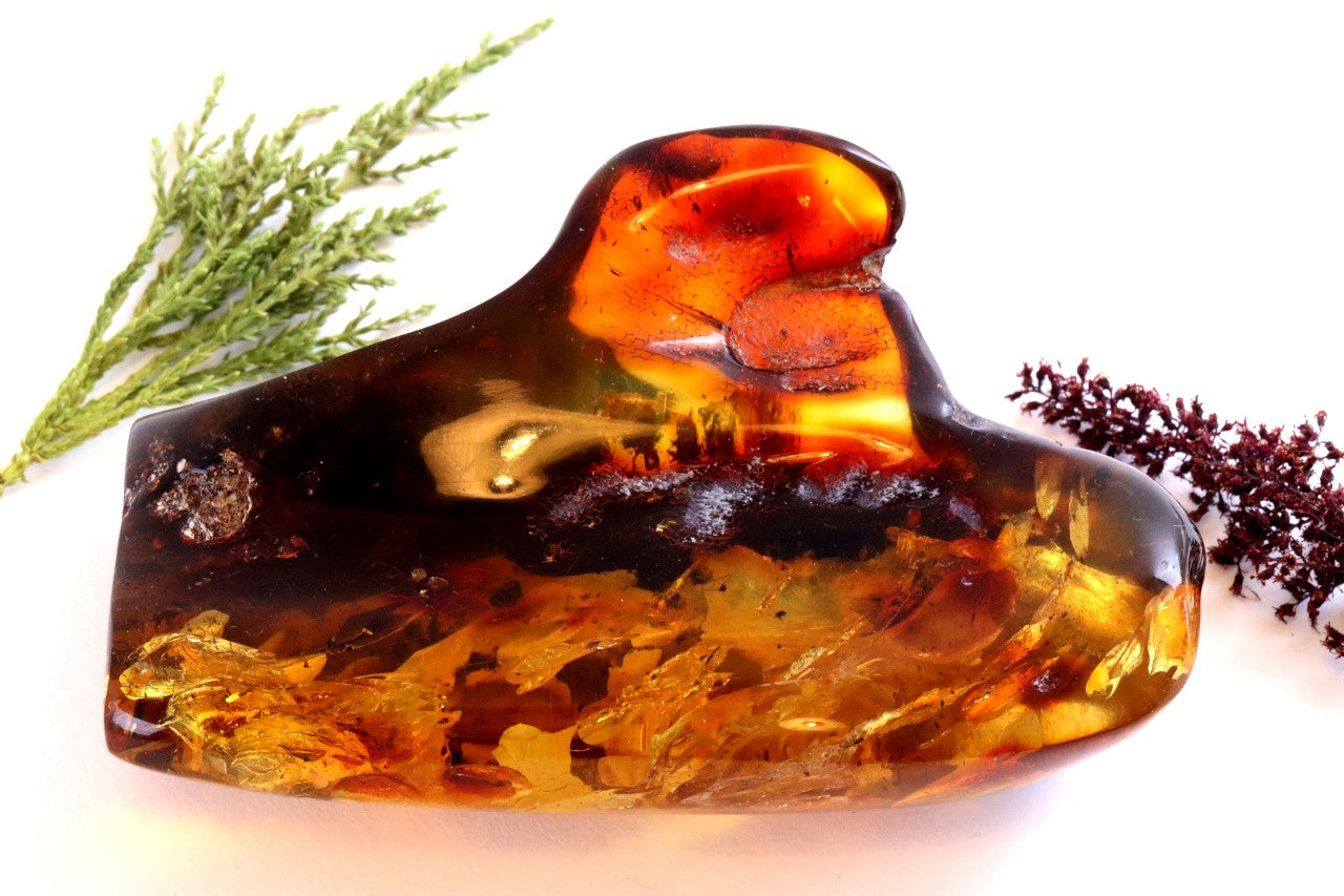 Unbelievable Large 127g Baltic Amber Collector's Gem