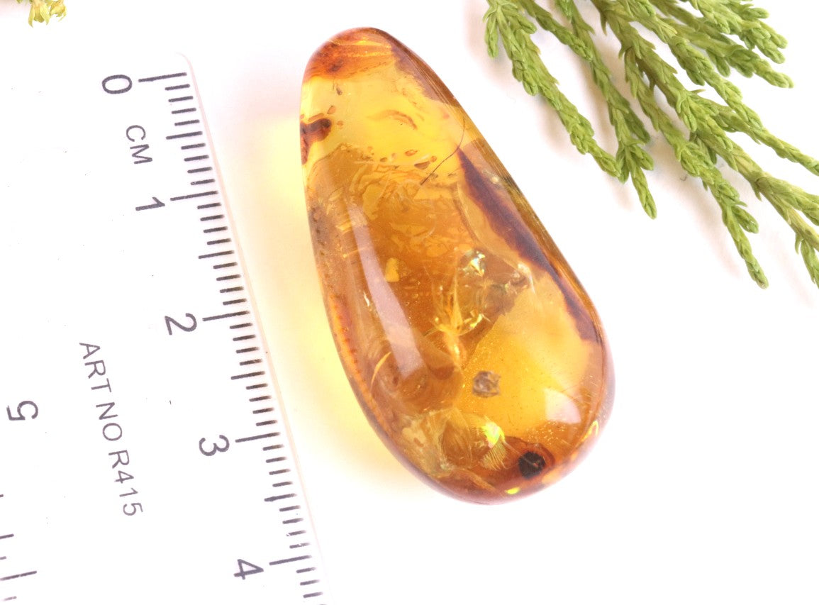 Unique Baltic Amber with Spider Inclusion