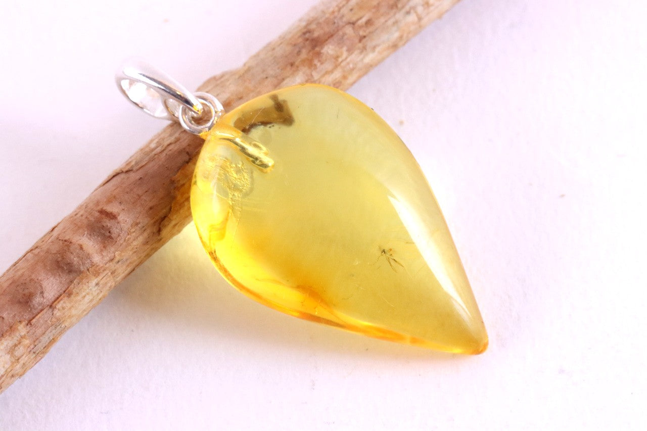 Small Fly in Natural Baltic Amber