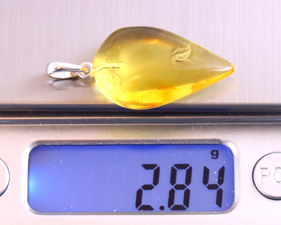 Small Fly in Natural Baltic Amber