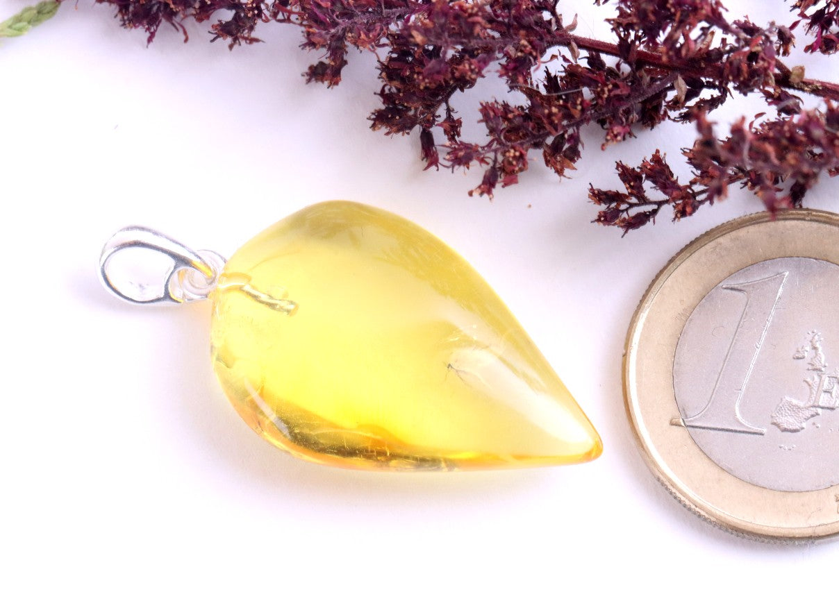 Small Fly in Natural Baltic Amber