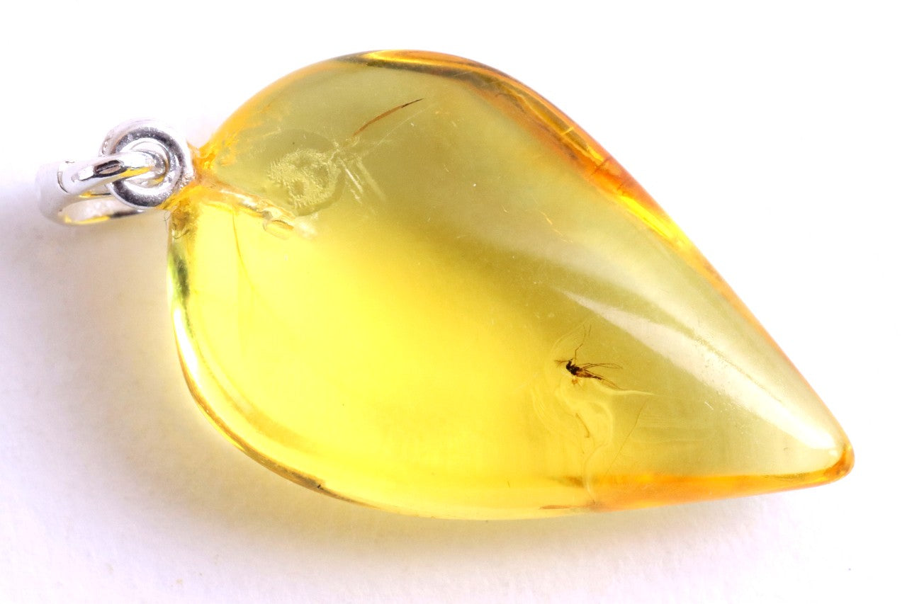 Small Fly in Natural Baltic Amber