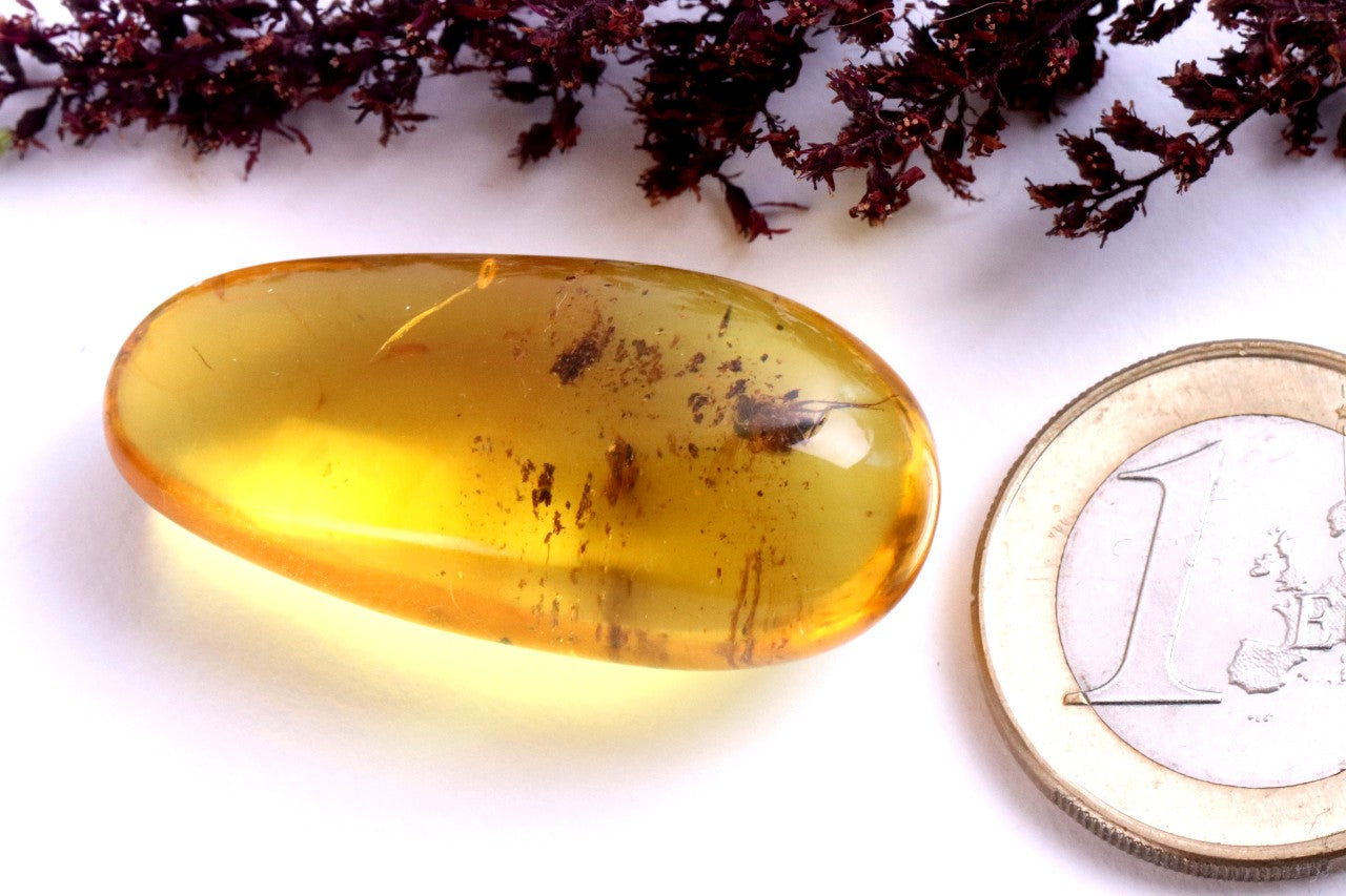 Museum-Grade Baltic Amber Gem with Fly Inclusions