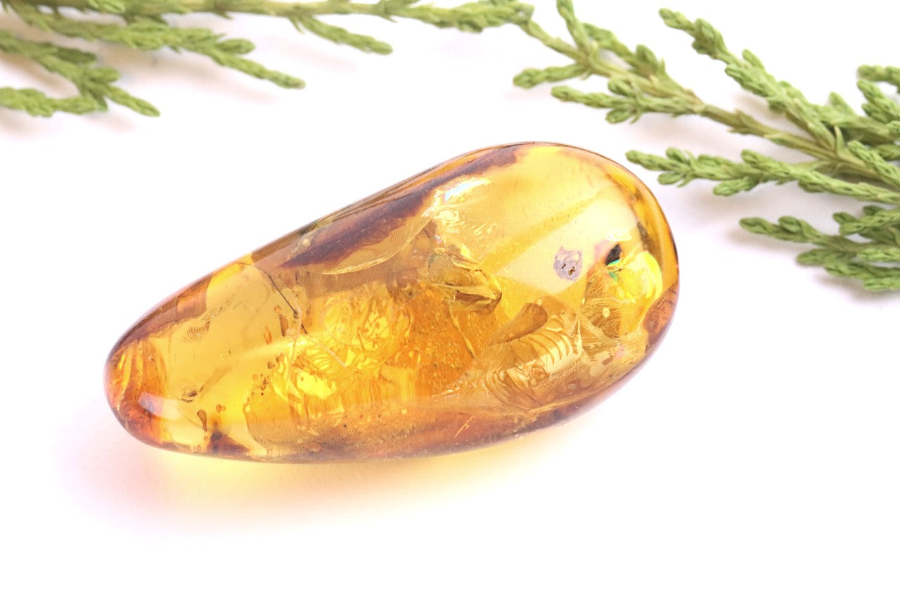 Unique Baltic Amber with Spider Inclusion