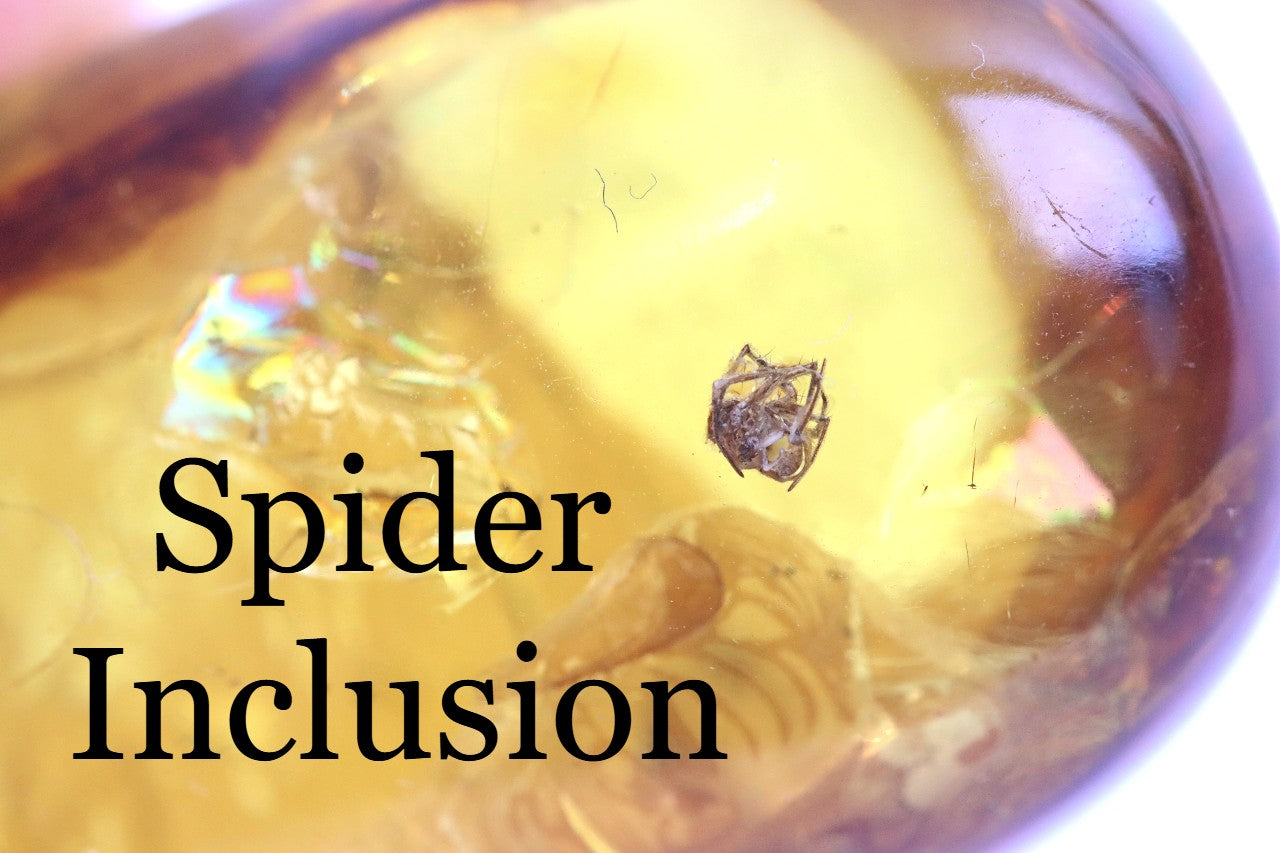 Unique Baltic Amber with Spider Inclusion