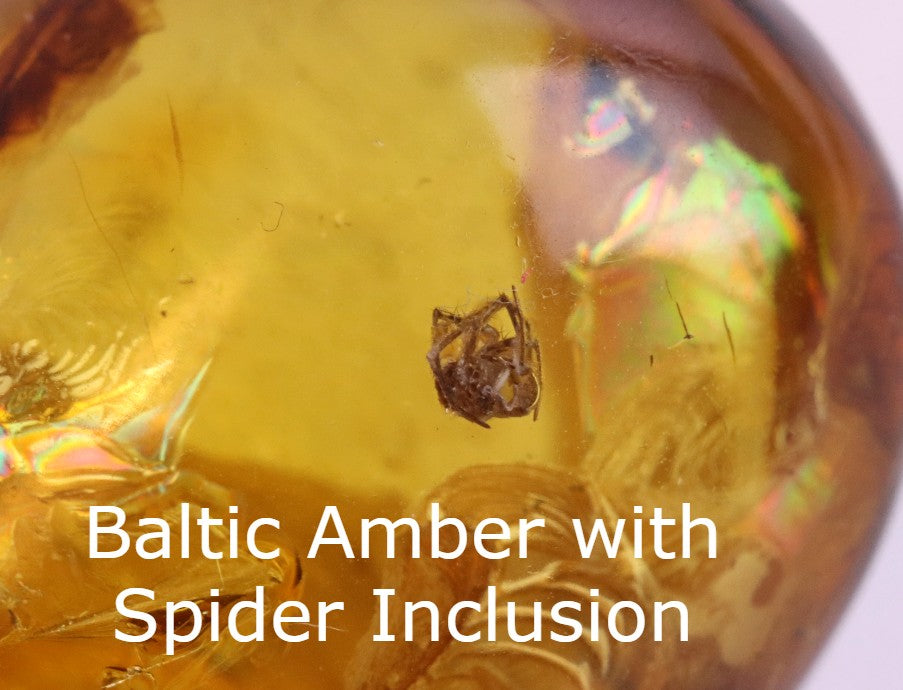 Unique Baltic Amber with Spider Inclusion