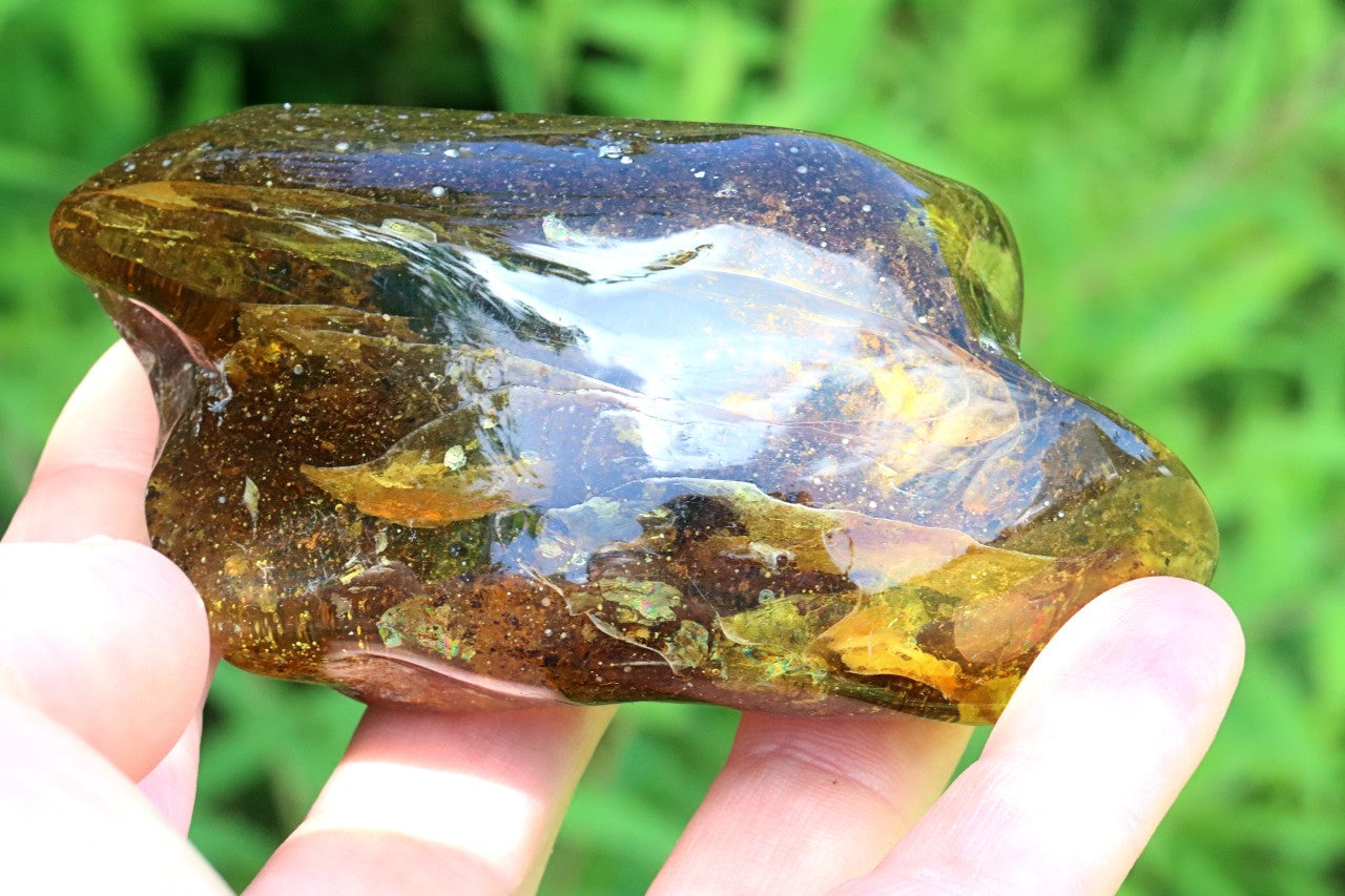 Grade AAA Baltic Amber Collector’s Gemstone, Large Fossil Resin Specimen