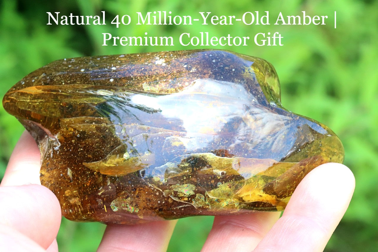 Grade AAA Baltic Amber Collector’s Gemstone, Large Fossil Resin Specimen
