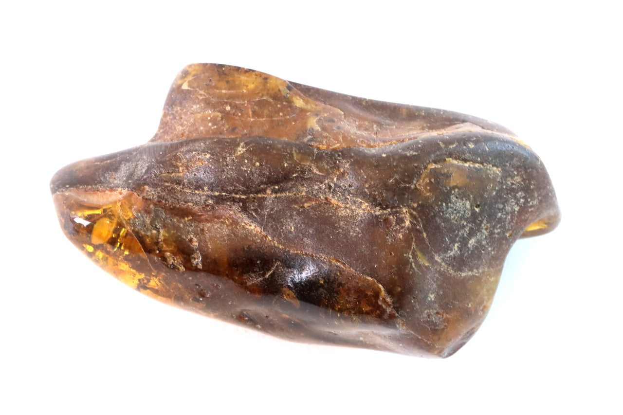 Grade AAA Baltic Amber Collector’s Gemstone, Large Fossil Resin Specimen