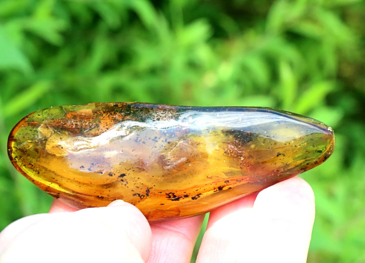 Polished Baltic Amber Gemstone