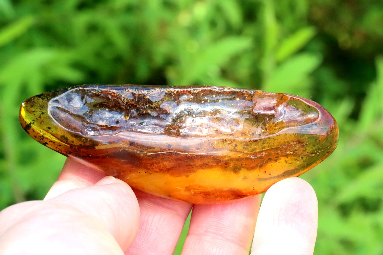 Polished Baltic Amber Gemstone