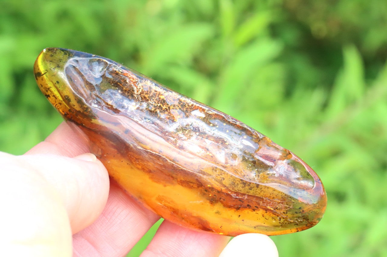 Polished Baltic Amber Gemstone
