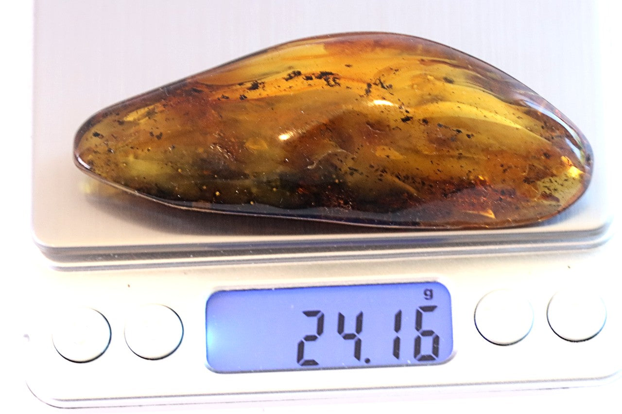 Polished Baltic Amber Gemstone