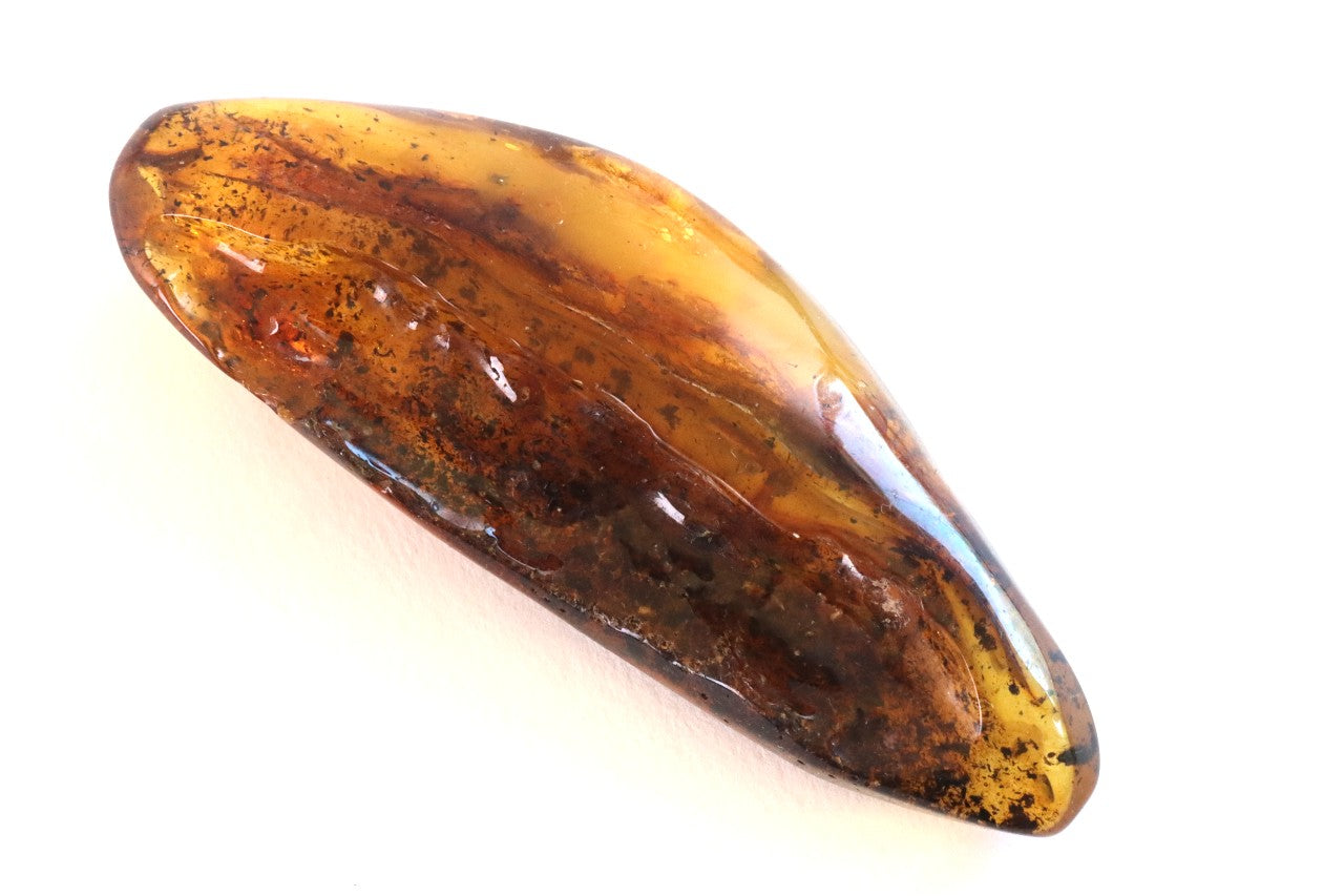 Polished Baltic Amber Gemstone