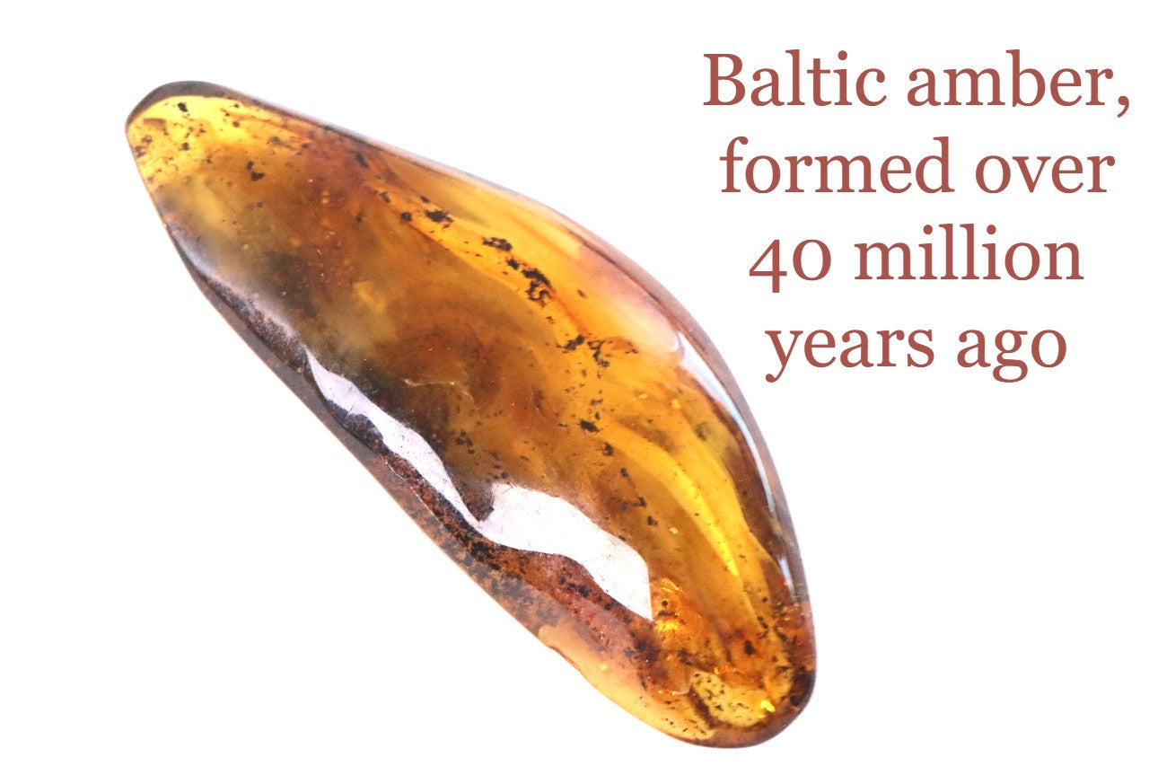 Polished Baltic Amber Gemstone
