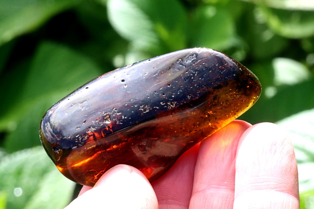 Natural Baltic Amber Gem