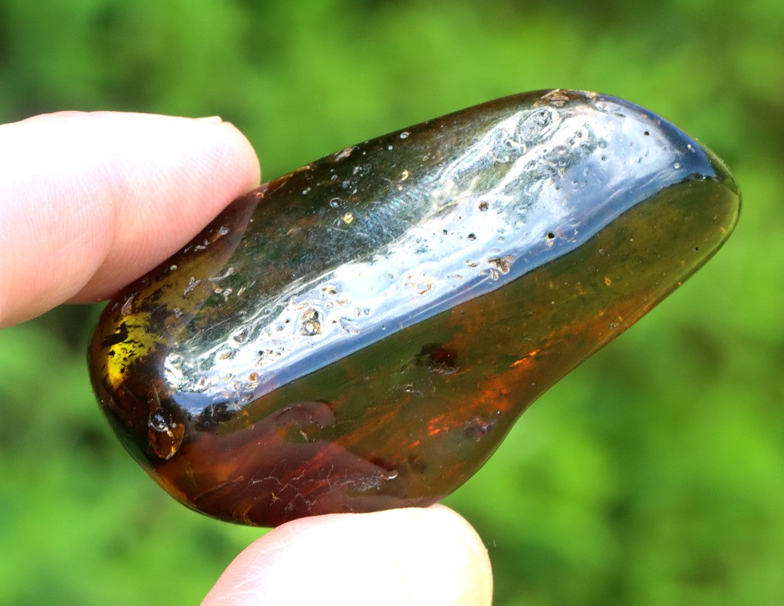 Natural Baltic Amber Gem
